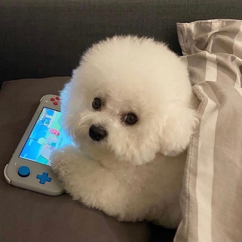 BTC钱包苹果版